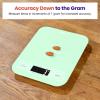 imageEtekcity Food Kitchen Scale Digital Grams and Ounces for Weight Loss Baking Cooking Keto and Meal Prep LCD Display Medium 304 Stainless SteelLargeGreen
