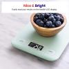 imageEtekcity Food Kitchen Scale Digital Grams and Ounces for Weight Loss Baking Cooking Keto and Meal Prep LCD Display Medium 304 Stainless SteelMediumGreen